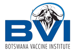 BVI Logo